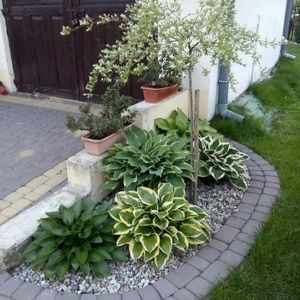 Meet your Posher, Deyanira